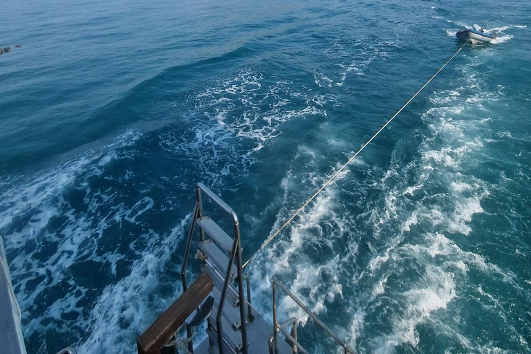 Pattaya: Fun dives in Pattaya and Samaesarn with transfer 3 Dives