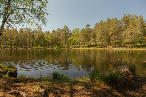 Wanderung am See und Lagerfeuer