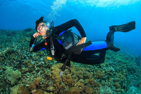 Essayez la plongée sous-marine à Racha Yai/noi : 3 plongées pour les non certifiésDiscover Scuba Diving(3dives)Débutants(plongeurs non certifiés)