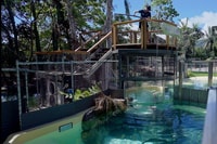 Port Douglas, Wildlife Habitat schwimmen mit Krokodilen - Housity