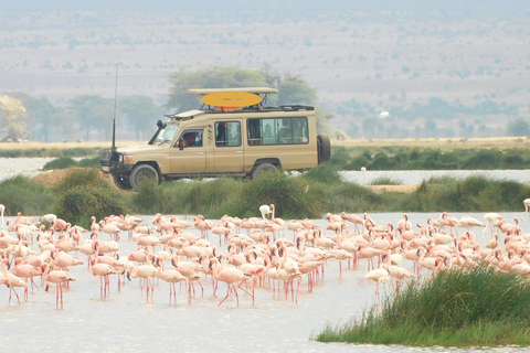 From Nairobi:2-Day Lake Nakuru,Naivasha & Hell’s Gate Safari