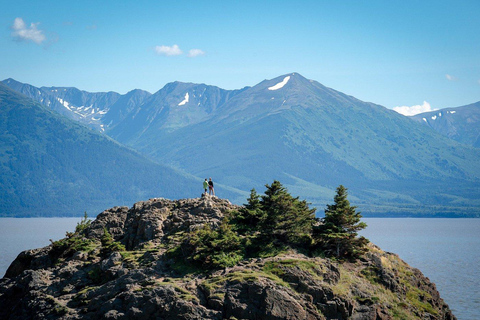 Anchorage: Mount Alyeska Tram & Wildlife Center Tour