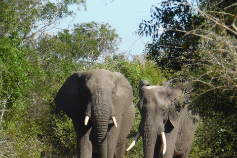 St Lucia, KZN : 3-Day Wildlife and Cultural Safari