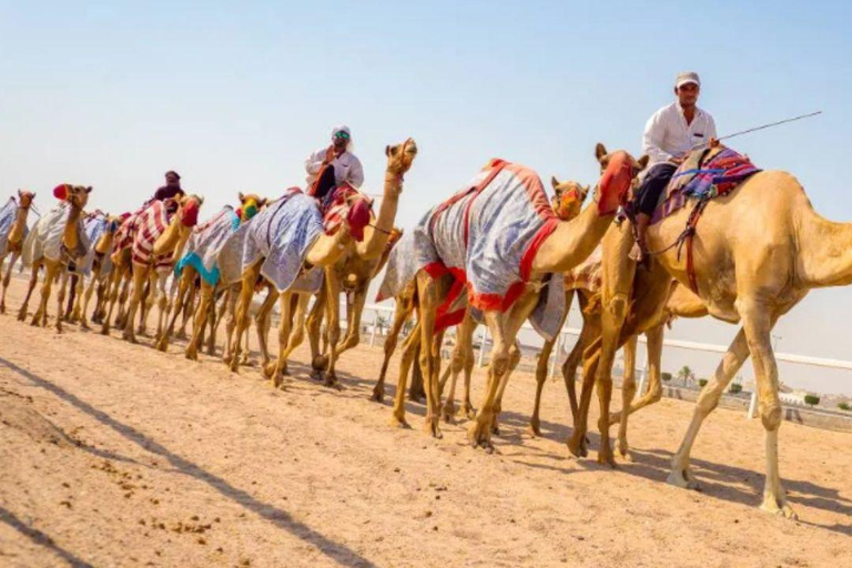 多哈：沙漠私人之旅（含骆驼骑乘体验和茶）