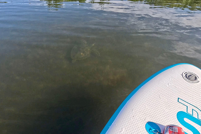 Ft Lauderdale: Combo Deal Snorkel Reefs, Kayak/SUP Mangroves