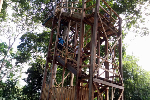 Trinidad: Zip Lining-upplevelse och panoramautsikt över Fort George