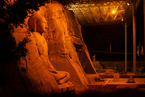 Polonnaruwa Ancient City & Minneriya Safari Full-Day Tour