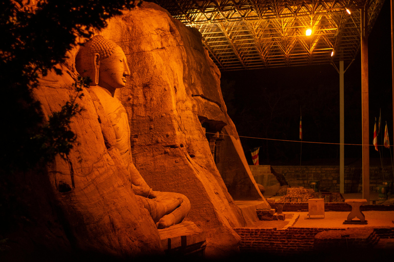 Polonnaruwa Ancient City & Minneriya Safari Full-Day Tour