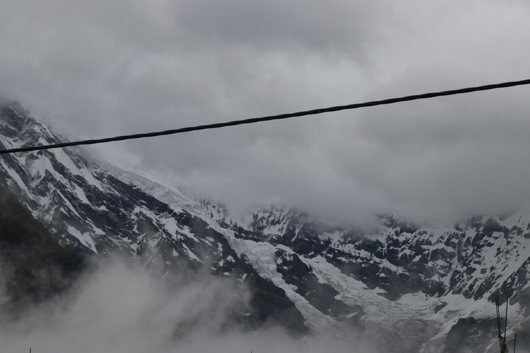 Pokhara : 6 jours de trek au LangtangPokhara : 6 jours de trek Langtang Service Package