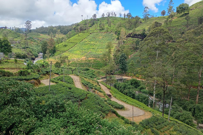 Colombo to Kandy Full-Day Private Tour Experience