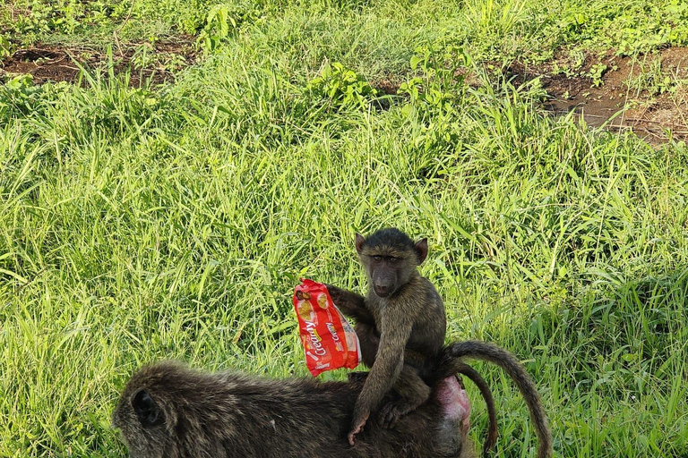 From Entebbe: 3-Days Uganda wildlife &chimpanzee trek Safari