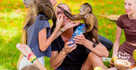 Punta Cana: Interactive Experience at Monkey House
