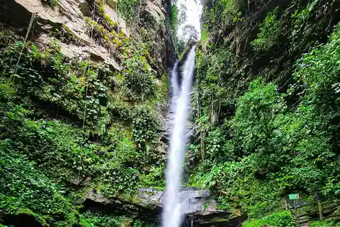 Da Tarapoto: Tour di mezza giornata della cascata di Ahuashiyacu