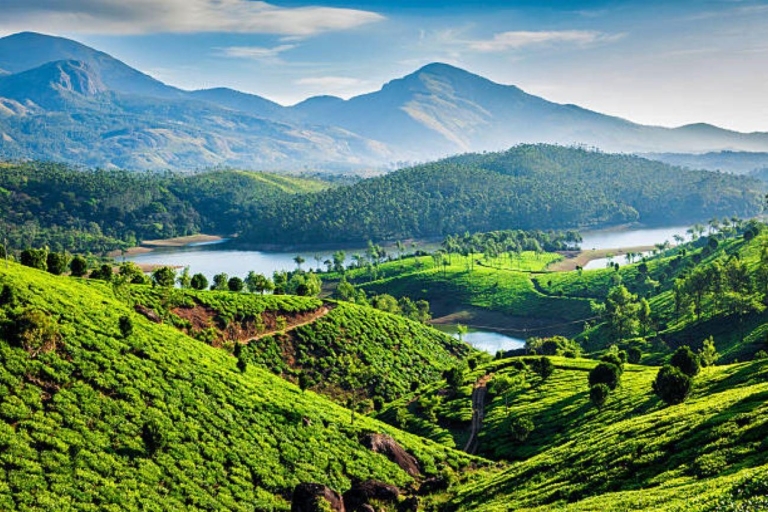 Memorable, Munnar Hill Station Tour (02 Nights / 03 Days)