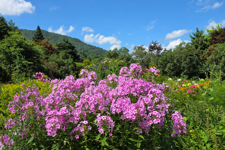 From Seoul: Garden of Morning Calm Day Tour by train