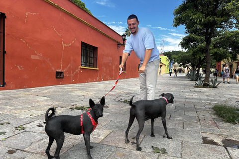 Secret Food Tour: Oaxaca de Juárez