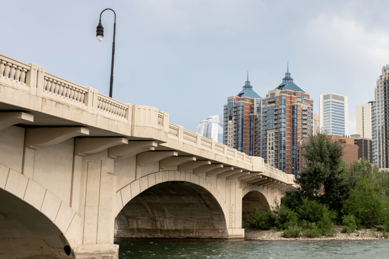 Londen: stadsrondleiding met gids en app