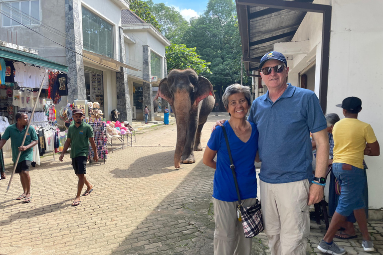 Vanuit de haven van Colombo : Excursies Pinnawala