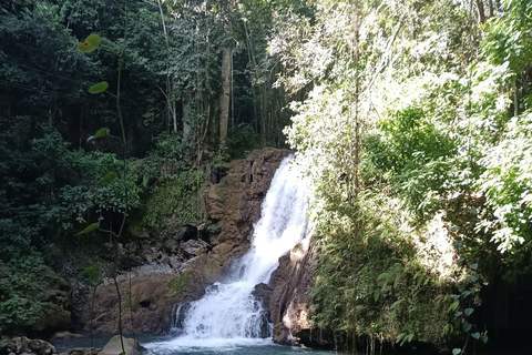 Black River Safari and Ys Falls Tour From Falmouth/ Trelawny