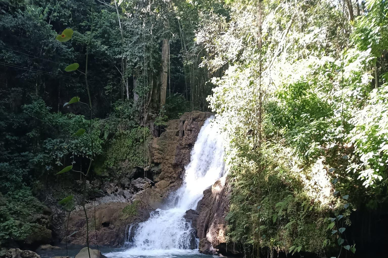 Black River Safari and Ys Falls Tour From Falmouth/ Trelawny