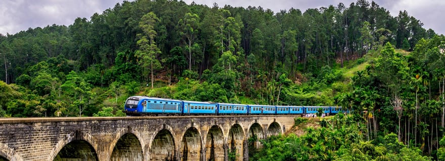Excursion d'une journée à Ella avec trajet en train depuis Colombo/Ahungalla/Bentota