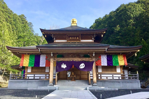 From Osaka/Kyoto: Mt. Koya & Nachi Falls Private Day Trip