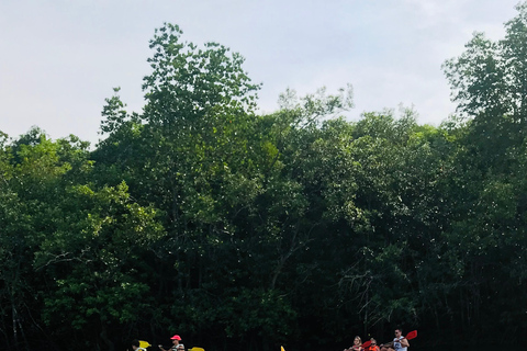 Ko Lanta : Visite d'une demi-journée en kayak dans la mangrove avec déjeuner