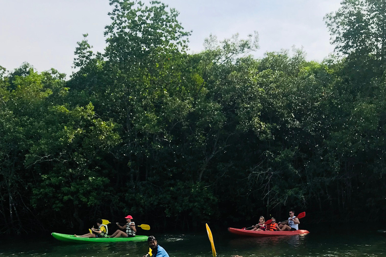 Ko Lanta : Visite d'une demi-journée en kayak dans la mangrove avec déjeuner