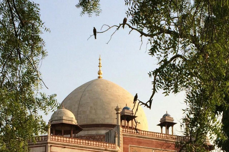 La experiencia completa de Delhi: tour de día completo en coche