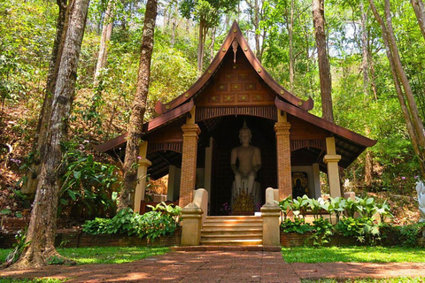 Visite du Doi Suthep et du temple Wat Pha Lat en soirée