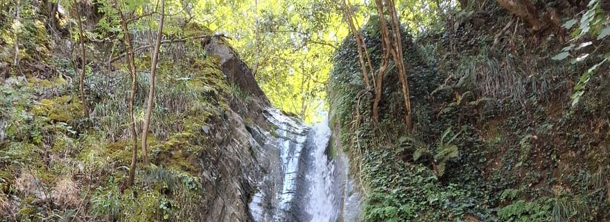 Parc national de Pollino : randonnée dans la réserve naturelle d'Argentino