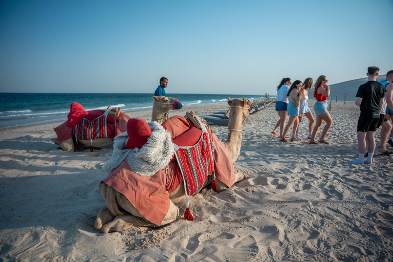 Doha: Full day Overnight & Day pass in Pvt Desert Beach Camp Doha: Full day Dune Bashing with a meal in Desert Beach Camp