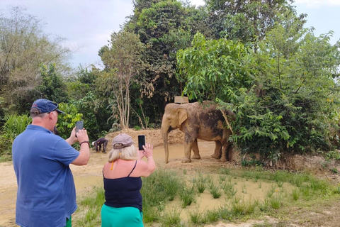 Cambodia Elephant Sanctuary, Pickup and drop off included