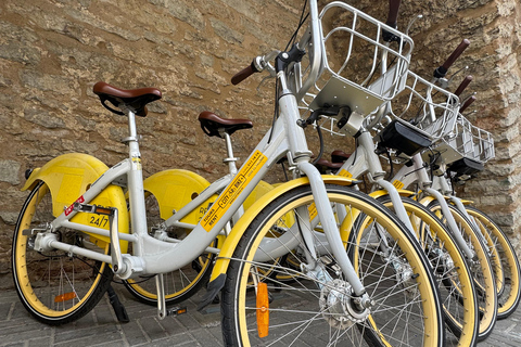 Tallinn: 24-Hour City Bike Rental