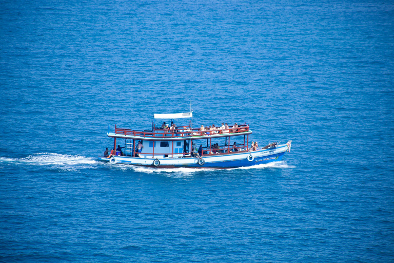 Ko Tao: Late Riser Snorkeling Tour with Lunch and Photos