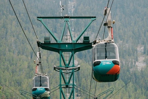 Banff: Gondola, Hot Spring en Three Lakes Tour