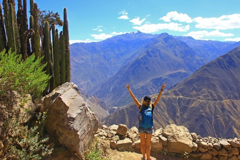 AREQUIPA : JOURNÉE COMPLÈTE CANYON DE COLCA + BAINS THERMAUX