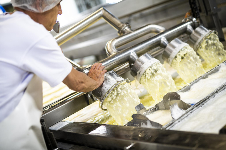 Tour all&#039;aperto di Zurigo e campagna del cioccolato e del formaggio