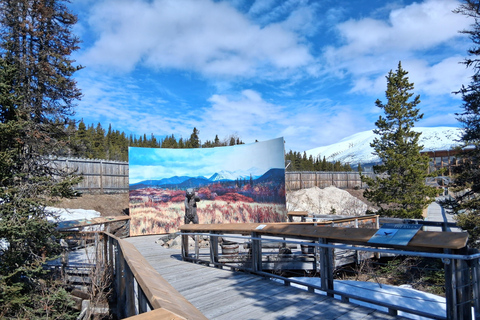 Skagway: Yukon Suspension Bridge & White Pass Scenic Tour