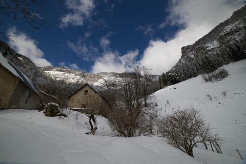 Spedizione nel Paese delle Meraviglie d&#039;Inverno, viaggio con le racchette da neve nella natura selvaggia