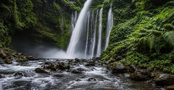 From Senaru: Tiu Kelep Waterfall & Sembalun Highlands Tour
