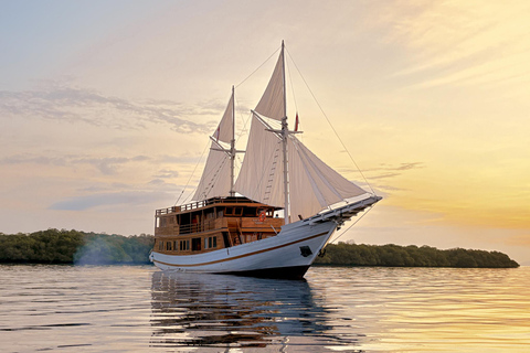 Labuan Bajo: 3-Day Komodo Liveaboard Adventure with VIP Boat