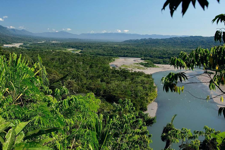 From Cusco: Manu National Park 3, 4, or 5-Day Tour