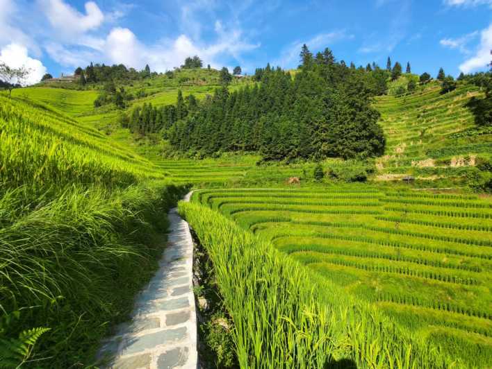 Terrazze di riso di Longji: Tour privato di un giorno intero da Guilin