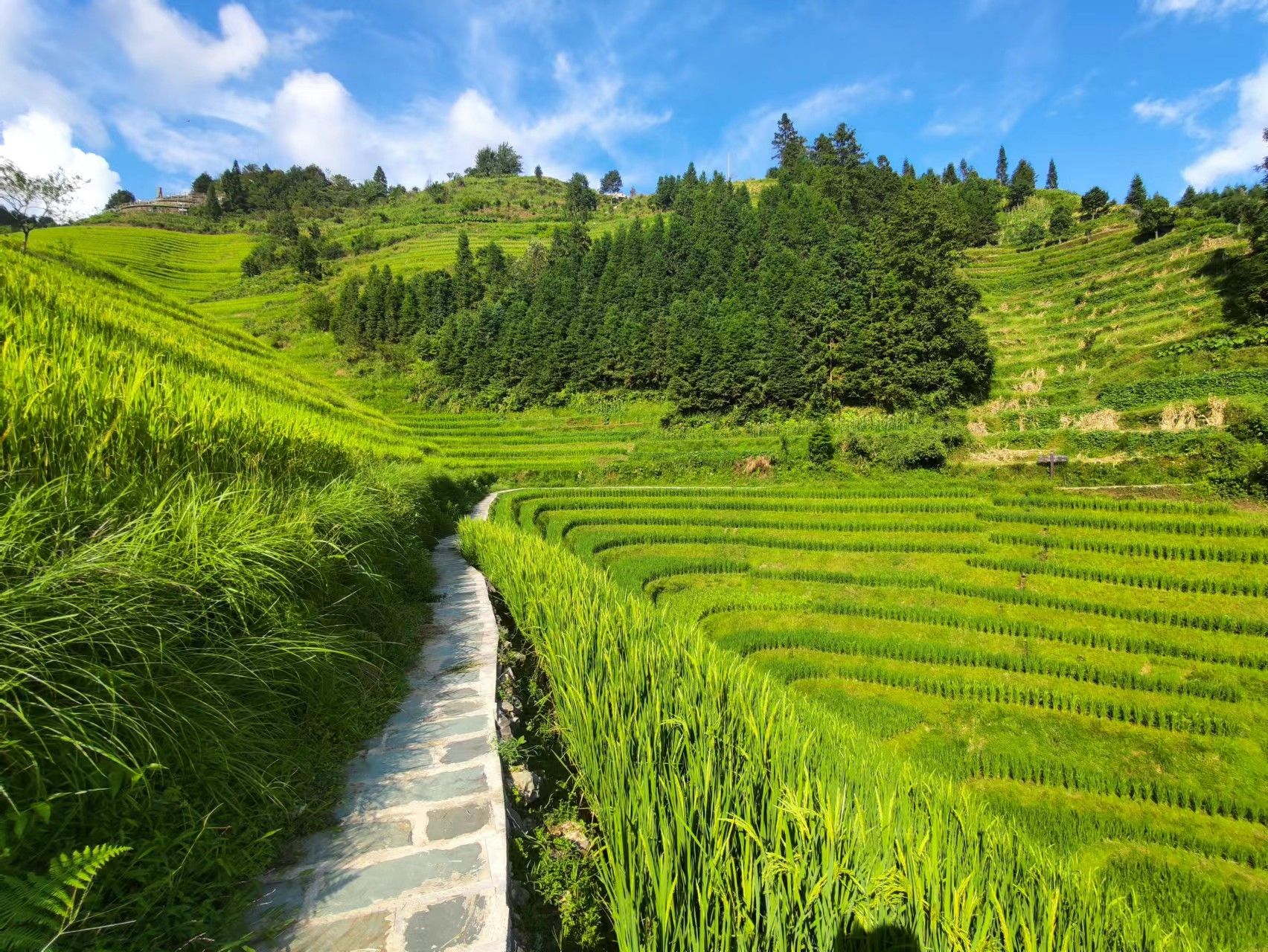 Longji Reisterrassen: Ganztagestour private Tour ab Guilin
