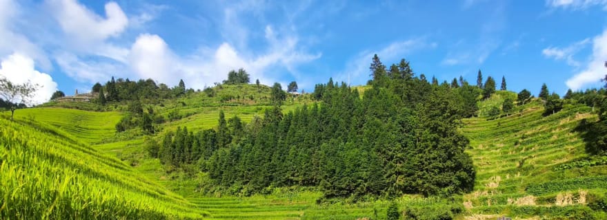 Terrazze di riso di Longji: Tour privato di un giorno intero da Guilin