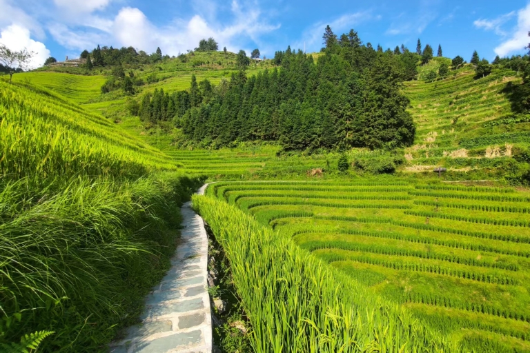 Terrazas de arroz de Longji: tour privado de un día desde GuilinExcursión de senderismo por el pueblo de Dazhai