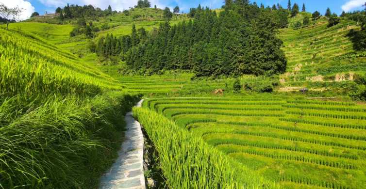 Terrazze di riso di Longji: Tour privato di un giorno intero da Guilin