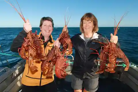 Geraldton: Eco Abrolhos Cruises Lobster Pot Pull
