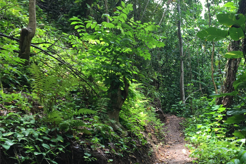 Kauai: Guided Hike and Waterfall Swim Kauai: Waterfall Swim and Hike